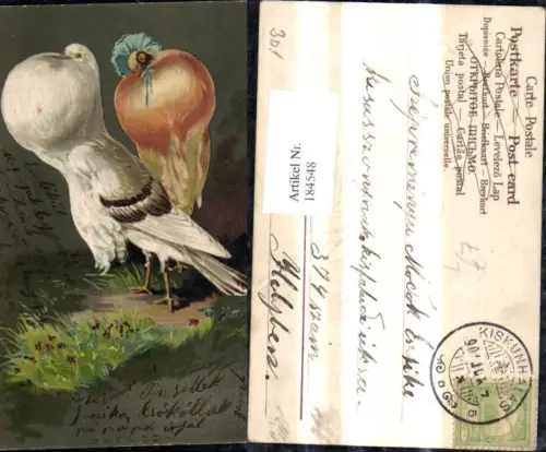 184548,Präge Litho Vögel Tauben