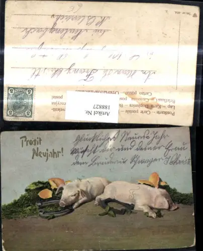 188827,Tiere Schweine m. Hufeisen Neujahr
