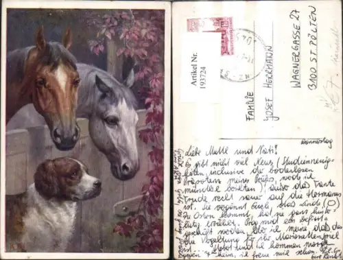 193724,Tier Künstler Ak Kainradl Pferde i. Stall m. Hund pub BKW1 380/2