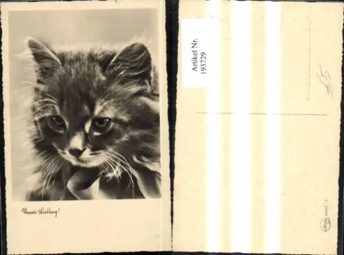 193729,Tier Foto Ak Katze Unser Liebling