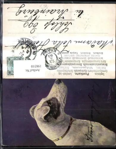 198310,Tier Hund Künstler Ak A. Müller