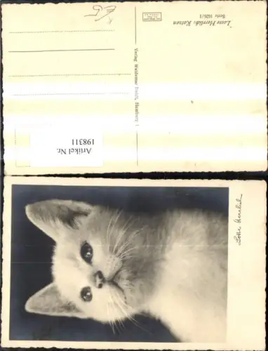 198311,Tier Katze Künstler Ak Lotte Herrlich Weisse Katze