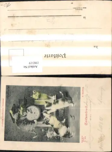 198319,Tier Katzen Künstler Ak C. Reichert Uhr Zeitvertreib