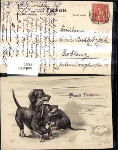 198350,Tier Hund Hunde Präge Ak Dackel Prosit Neujahr