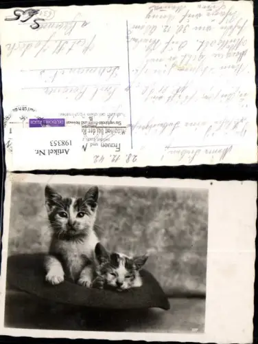 198353,Tier Katze Katzen i. Hut Stempel Mitarbeit b. d. Reichspost