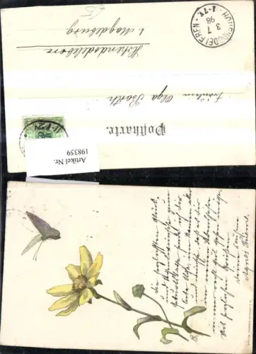 198359,Tier Schmetterling Blume