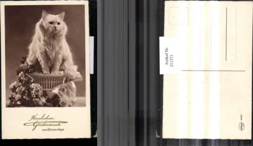 211271,Katze Perserkatze Blumen