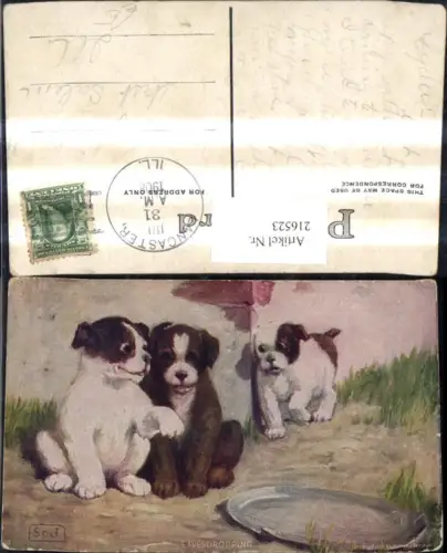 216523,Künstler Ak Tiere Hunde Welpen Schüssel Eavesdropping