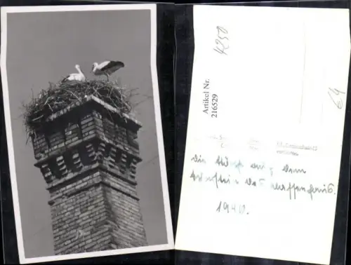 216529,Foto Ak Störche Storch Nest a. Schornstein Rauchfang