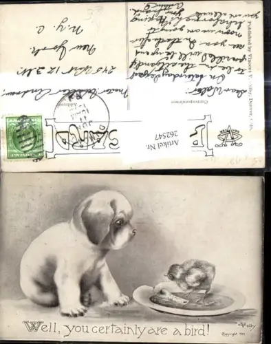 262547,Künstler Ak Volby Tiere Hund Vogel a. Teller m. Knochen Well you certainly are a bird