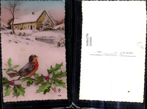 264060,Tiere Vögel Vogel a. Stechpalmenzweig Haus Winterlandschaft