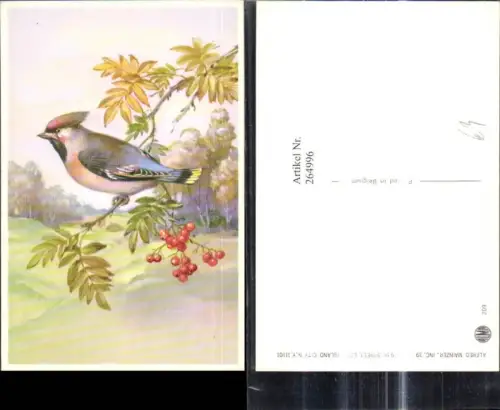 264996,Künstler Ak Tiere Vögel Vogel sitzt a. Ast Beerenstrauch