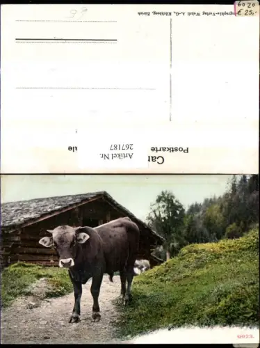 267187,Tiere Rind Kuh v. Almhütte