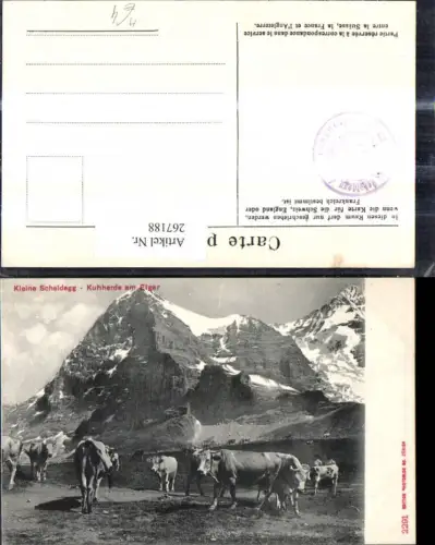 267188,Tiere Rind Kuhherde a. Eiger Kleine Scheidegg Bergkulisse