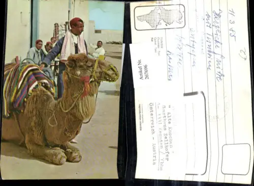 267696,Tiere Kamel Taxi Tunesien
