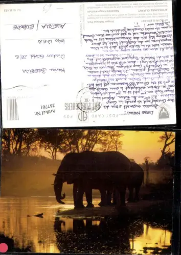 267701,Tiere Elefant Africanische Elefanten a. Wasserstelle b. Sonnenuntergang Kruger National Park
