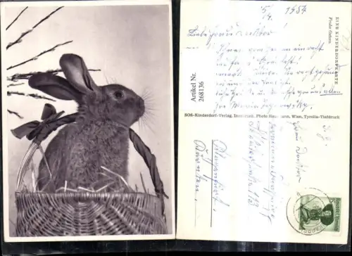268136,Tiere Hase i. Korb Ostern pub SOS Kinderdorf