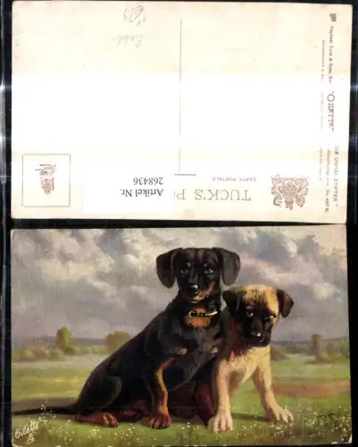 268436,Künstler Ak Die Unheilstifter Tiere Hunde Dackel Landschaft pub Raphael Tuck and Sons 467B