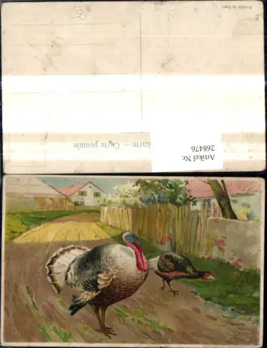 268476,Künstler Ak Tiere Truthahn Strasse Dorfstrasse Vögel
