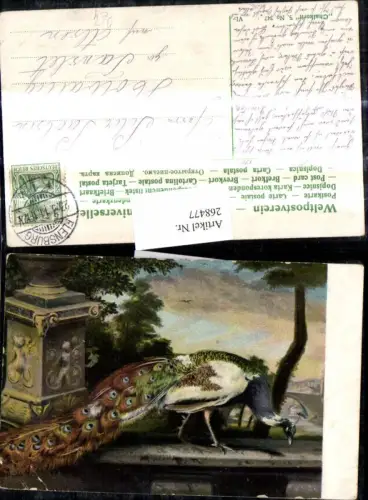 268477,Künstler Ak Tiere Vogel Pfau Blauer Pfau