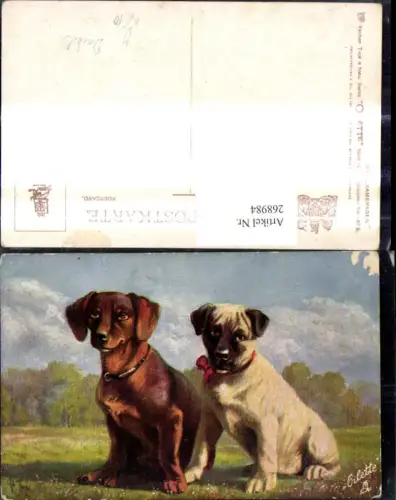268984,Künstler Ak Tiere Hunde Dackel pub Raphael Tuck and Sons Spielkameraden 467B