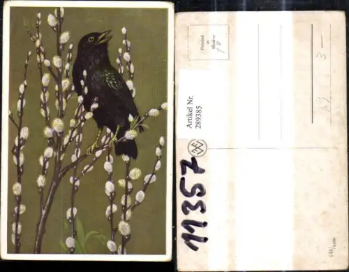 289385,Künstler Ak Tiere Vogel Palmkätzchenzweige