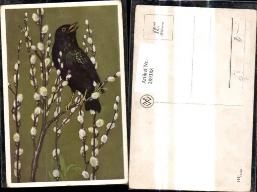 289388,Künstler Ak Tiere Vogel Palmkätzchenzweige Ast