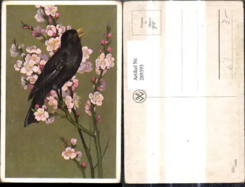 289393,Künstler Ak Tiere Schwarzer Vogel Blütenzweig Ast