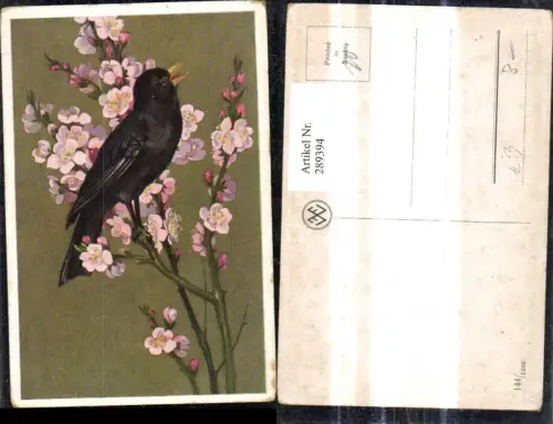 289394,Künstler Ak Tiere Schwarzer Vogel Blütenzweig Ast