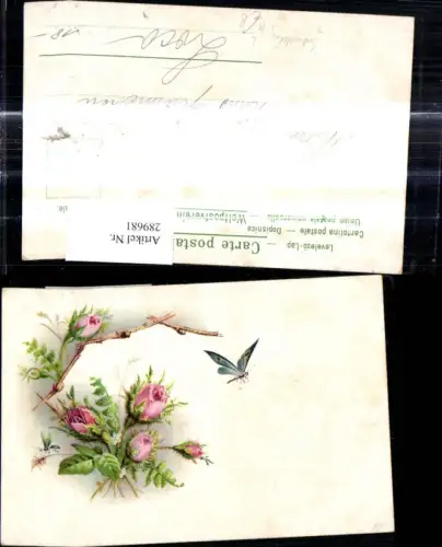 289681,Litho Insekt Schmetterling Gelse Rosen Blumen
