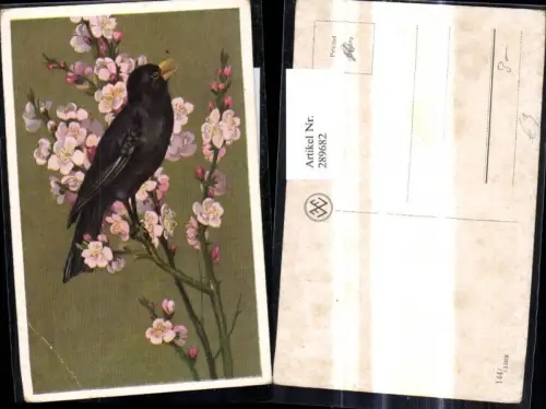 289682,Künstler Ak Vogel a. Blütenzweig sitzend