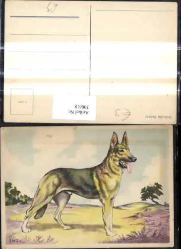 300618,Künstler Ak Steen Tiere Hund Schäferhund Duitsche herder