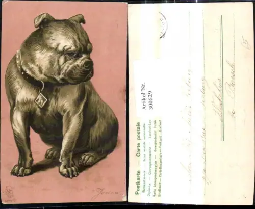 300629,Präge Künstler Ak Jozina Tiere Hund Boxer