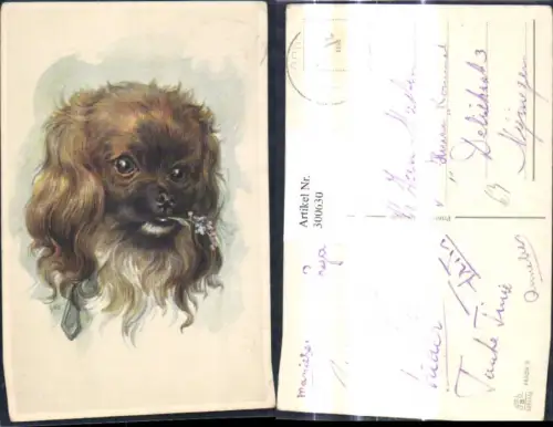 300630,Künstler Ak Tiere Hund Hundekopf m. Blume Vergissmeinnicht i. Maul Yorkshire Terrier