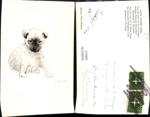 300633,Künstler Ak Hetty Edelkoort Tiere Hund Welpe