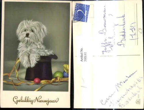 300641,Künstler Ak Tiere Hund Terrier i. Zylinderhut Hut Ball Band Neujahr