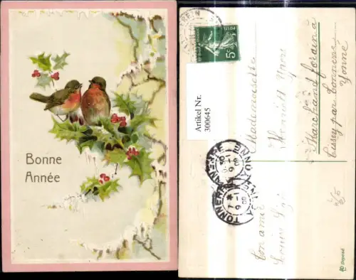 300645,Präge Litho Vögel Stechpalmen Zweig Bonne Annee