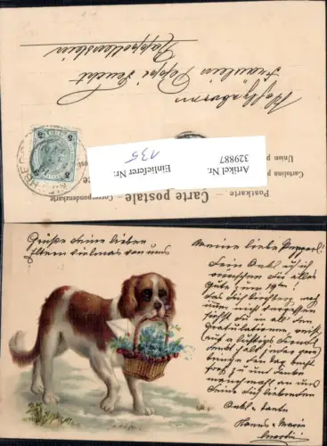 329887,Litho Hund m. Korb Blumenkorb Vergissmeinnicht Brief Kuvert
