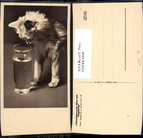 329898,Katzen Katzenkind m. Wasserglas Glas pub Wiener Tierschutzverein
