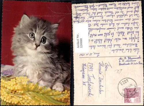 329900,Katzen Süßes Kätzchen m. gelben Zweig