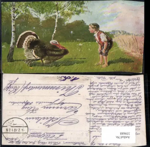 339688,Künstler Ak Tiere Vögel Truthahn b. Bub Junge Birke Bäume Landschaft