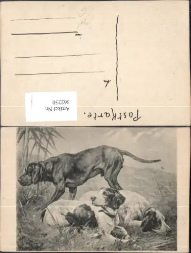 362250,Künstler Ak Tiere Hunde Jagd