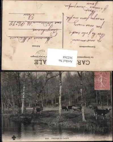 362268,Tiere Paturage du Centre Rinder neben Fluss Landschaft
