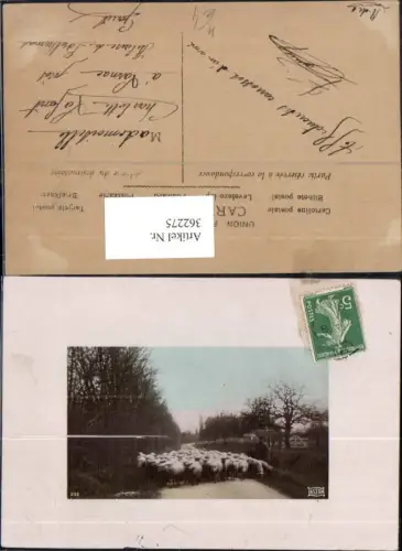 362275,Tiere Schafe Schafherde m. Schäfer Hirte Straße Passepartout