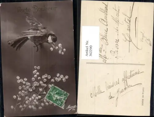 362290,Tiere Vögel Vogel Blütenzweig Maiglöckchen Porte Bonheuer