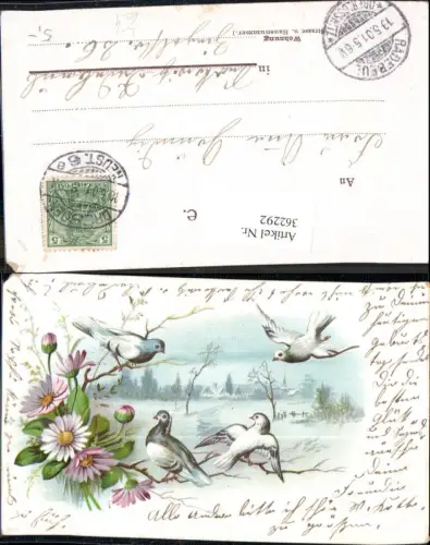 362292,Litho Tiere Vögel Tauben Brieftauben Blumen Rosa Gänseblümchen Dorf Landschaft