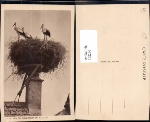 362296,Tiere Störche Nest a. Rauchfang Schornstein Alsace Nid de Cigognes