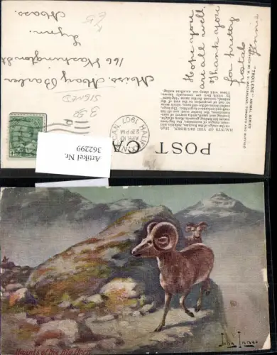362299,Künstler Ak John Innes Haunts of the Big Horn Tiere Widder Bergkulisse
