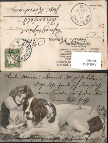367360,Tier Hund Bernhardiner m. Mädchen Umarmung