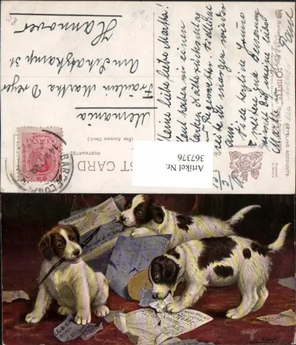 367376,Künstler AK Tiere Hunde Welpen White Setter pub Raphael Tuck e Sons 9362
